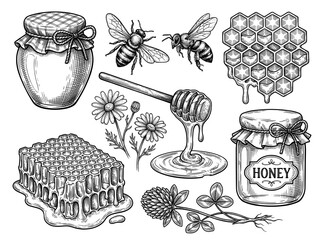 Honey bee and jar set in vintage engraving style