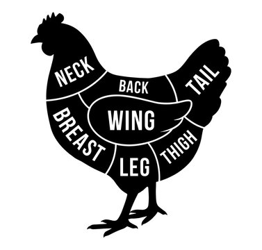 Chicken butcher chart with meat cut silhouette