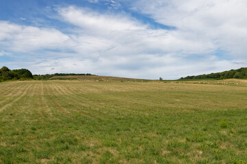 Obraz premium Vast green meadow under a cloudy blue sky with distant trees and hay bales