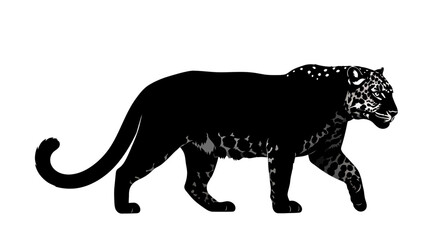 Naklejka premium Black Panther Walking Silhouette Animal Portrait.