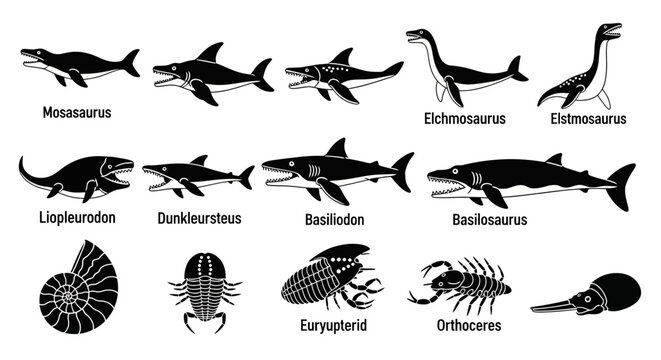 Fossilized Prehistoric Marine Animals Silhouette Collection.