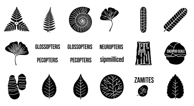 Fossil Leaves and Plants Collection Illustration.