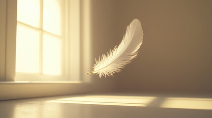single pristine white feather