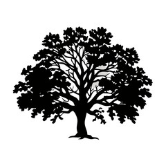 Obraz premium Majestic tree silhouette with sprawling branches and leaves