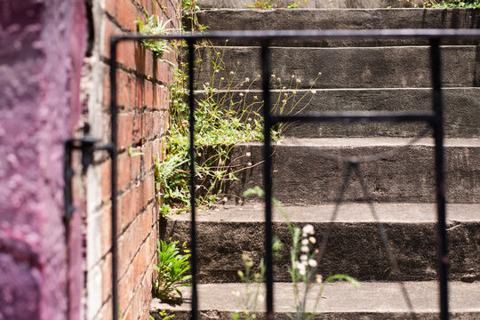 weeds growing  on abandoned property