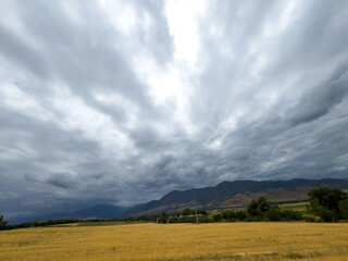 Fototapeta premium Golden field in Kyrgyzstan with mountain range on the horizon and dramatic storm clouds before rain.