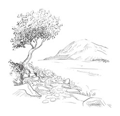 Obraz premium Black and white ink of a solitary tree a rocky shore with a mountain in the