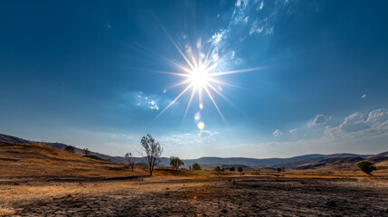 A withered tree standing alone in a barren, sun-scorched field. Water crisis and water shortages in summer during prolonged drought.