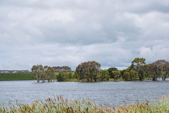 Full inland lake with trees