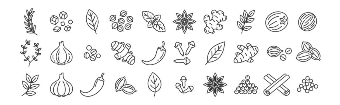Spice and herb outline icon set vector, garlic ginger chili cinnamon and seasoning ingredients isolated on transparent background