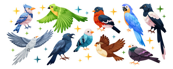 Fototapeta premium Birds cartoon. Animal fly. Different character, parrot with colorful feather. Sparrow, funny pigeon, bird with wing, beak macaw, crow and raven. Flying zoo, wildlife nature. Game garish illustration