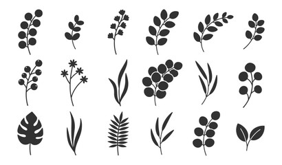 Botanical leaf silhouette icon set vector, floral branch foliage and berry elements isolated on transparent background © gerik_a