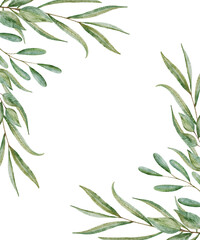 Watercolor botanical greenery frame. Elegant willow leaf border. Minimalist organic nature background. © Karina Martirosova