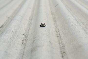 Screw nails for asbestos roofing