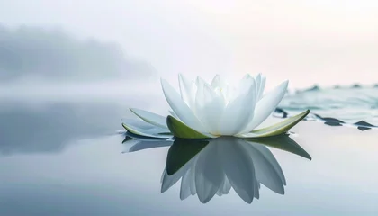 Tableau sur plexiglas Salle de bain Serene White Lotus Flower Floating on Calm Water with Reflections and Soft Light.  © GASTAN ALVARENDRA ST