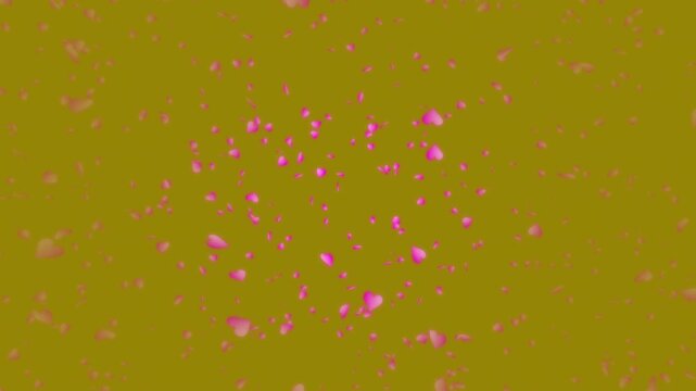 Pink heart shapes being lit up and falling down on dark gold gradient moving background. Abstract background for Happy Valentine's day and wedding ceremony.