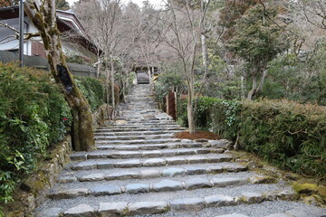 A Japanese temple :  a scene of the access to the 
 precincts of Jakko-in Temple at Ohara in Kyoto City  
