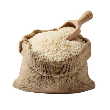 Burlap Sack of White Long Grain Basmati Rice with Wooden Scoop