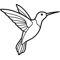 Hummingbird line art vector