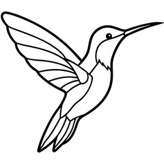 Hummingbird line art vector
