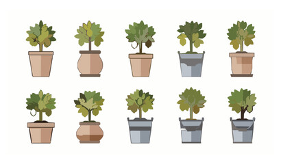 Fototapeta premium Lemon Tree in Pot and Bucket Vector Set Isolated on White