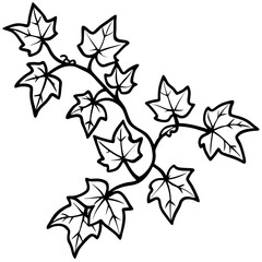 Ivy line art vector