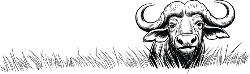Black and white of a bulls head with horns peeking out of grass