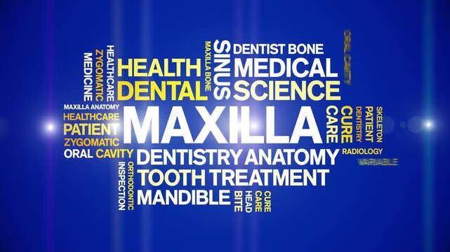 Maxilla animated word cloud-text design animation tag kinetic typography seamless loop.