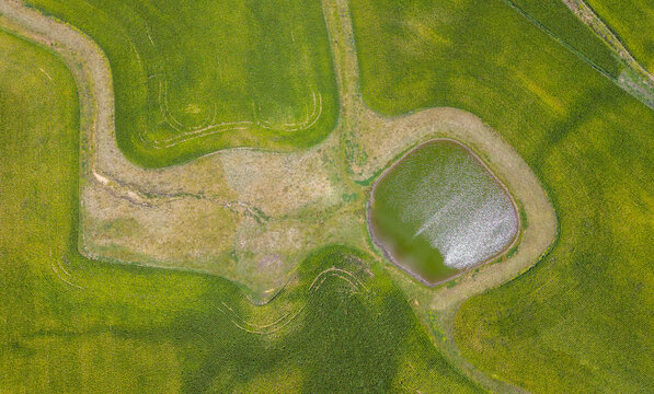 Aerial view of corn farming outside Glen Innes