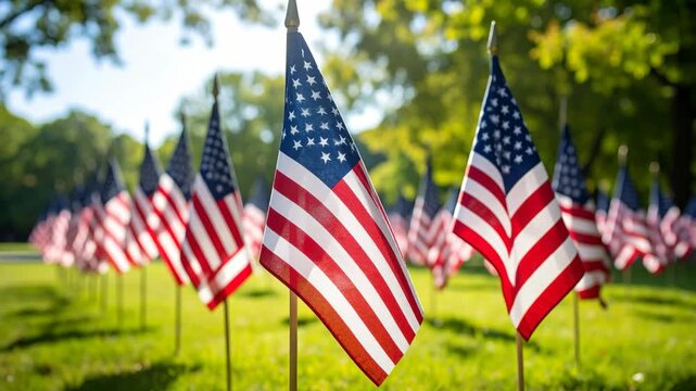 Row of American Flags on Poles in Grassy Field Under Sunny Sky