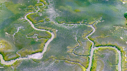 Naklejka premium Aerial view of Charleston, South Carolina landscapes showcasing lowcountry marshes and winding river waterways on Kiawah Island