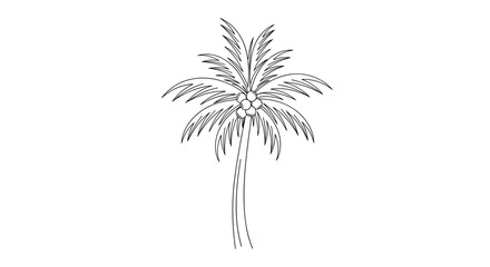 Obraz premium Pencil Drawing of Palm Tree.