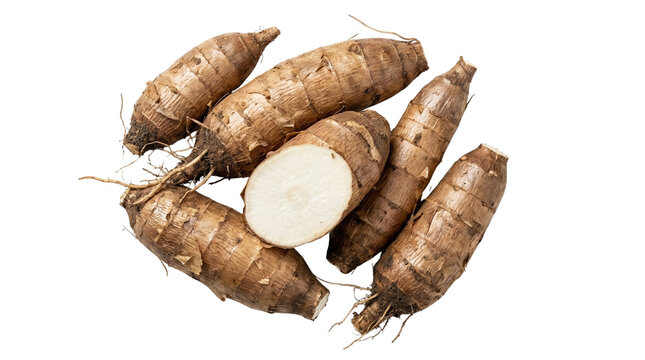 Raw yuca roots on a transparent background, one cut showing white flesh inside