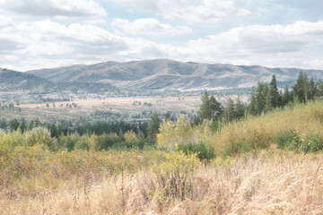 Fototapeta premium Foothills of the Southern Altai, Eastern Kazakhstan. View of treeless slopes and woodlands under a cloudy sky. Natural pastel colors of autumn. 