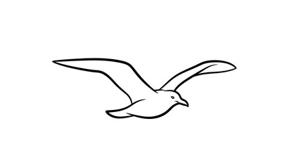 Obraz premium Seagull in flight, simple line drawing, isolated on white background
