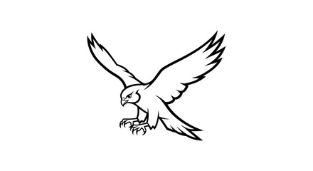 Obraz premium Flying Falcon or Hawk Bird of Prey Outline Illustration