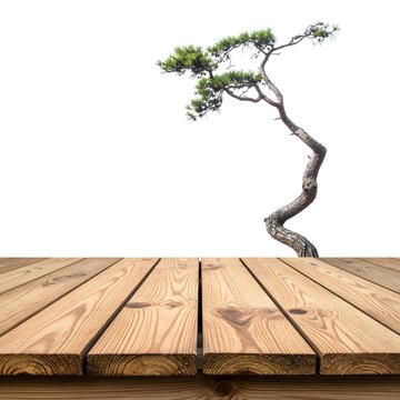 Minimalist display concept featuring a rustic wooden table and a graceful bonsai tree against a clean white backdrop, ideal for showcasing natural products