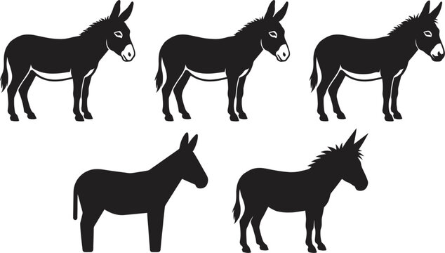 Donkey silhouette set farm animal mule burro black and white isolated vector illustration collection for agriculture design