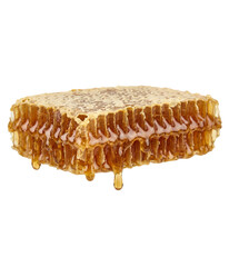 Honeycomb with dripping honey on a white background viewed from the side