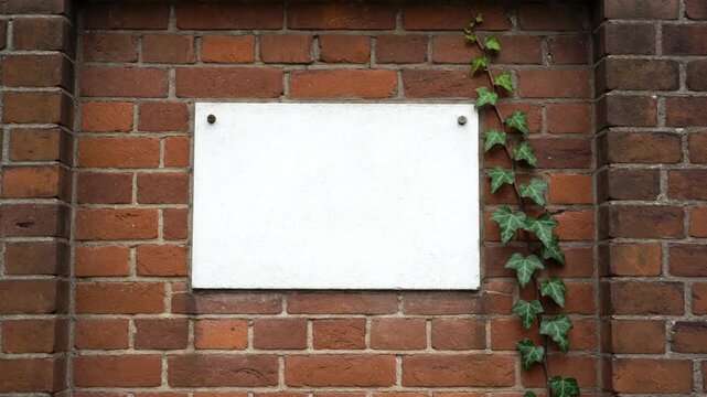 A brick wall with nine evenly spaced white blank plaques and vertical green ivy plants climbing each column of plaques. The wall frames are aligned in a grid pattern.