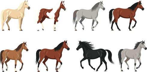 Obraz premium Horse Breeds Vector Set with Running and Standing Horses Isolated Equestrian Animal Collection