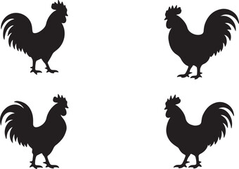  Rooster silhouette vector © Amina