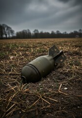Unexploded Ordnance A Forgotten Relic of War in a Rural Field