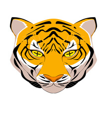 Fototapeta premium head of tiger