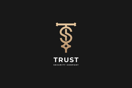 Abstract letter ST TS logo template - vector.