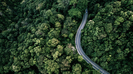 Fototapeta premium Forest highway as conceptual background representing green economy, renewable energy and responsible investment ideas.