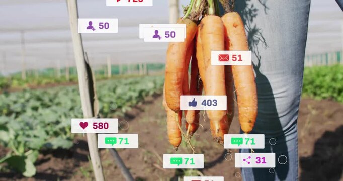 woman holding carrots under shade net, showcasing social media marketing floating icons