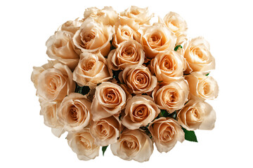 Bouquet of Beige Roses