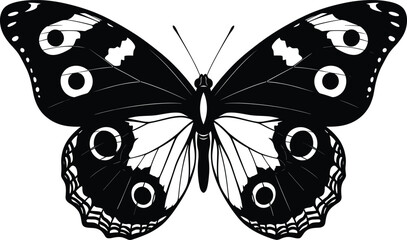 Black and white butterfly silhouette with detailed wing patterns, symmetrical insect illustration isolated on white background, decorative nature design element for print and graphic © MstKhodeza