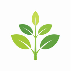 Obraz premium Abstract illustration of a green leafy plant stem with simple design